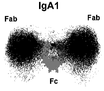 data plot