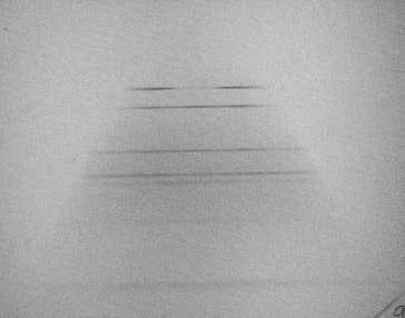 film image