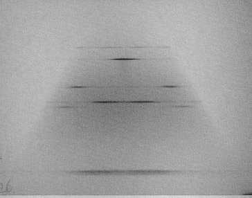 film image - Heat treated