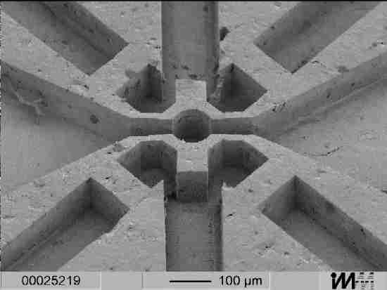 SEM photograph